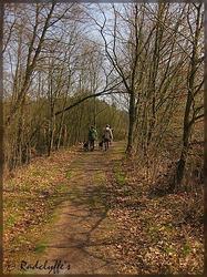 IMG_0046.jpg