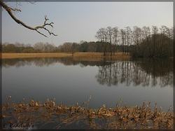 IMG_0047.jpg