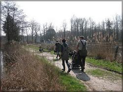 IMG_0053.jpg