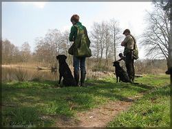 IMG_0058.jpg