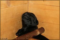 IMG_2996.jpg
